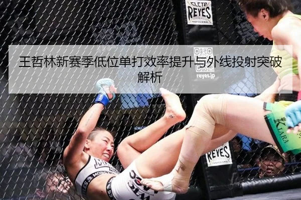 王哲林新赛季低位单打效率提升与外线投射突破解析